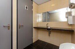 Sir Winston Churchillln 299